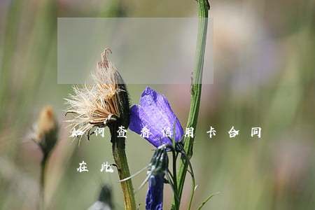 如何查看信用卡合同編號？詳細教程在此！